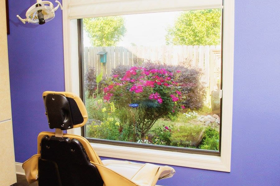 Drs. Jan T. Bagwell &amp; Jessica J. Johnston, DDS inside of the dentist office with a window view of flowers.